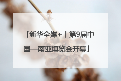 新华全媒+丨第9届中国—南亚博览会开幕