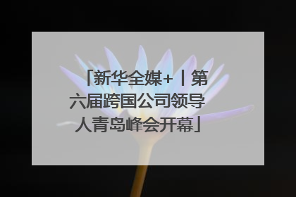 新华全媒+丨第六届跨国公司领导人青岛峰会开幕