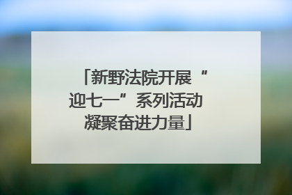 新野法院开展“迎七一”系列活动 凝聚奋进力量