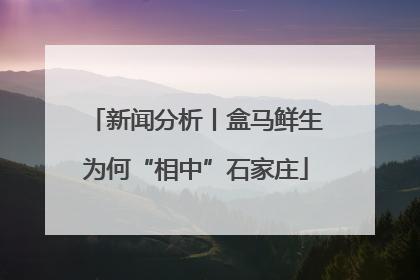 新闻分析丨盒马鲜生为何“相中”石家庄