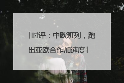 时评：中欧班列，跑出亚欧合作加速度