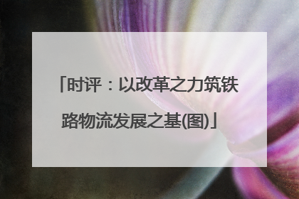 时评：以改革之力筑铁路物流发展之基(图)