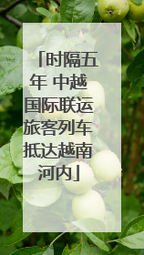 时隔五年 中越国际联运旅客列车抵达越南河内