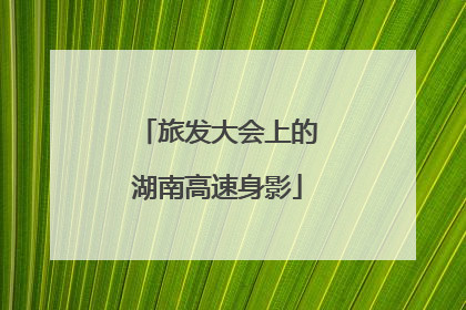 旅发大会上的湖南高速身影