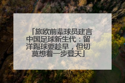 旅欧前辈球员建言中国足球新生代：留洋踢球要趁早，但切莫想着一步登天