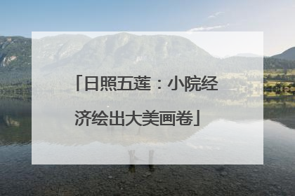 日照五莲：小院经济绘出大美画卷