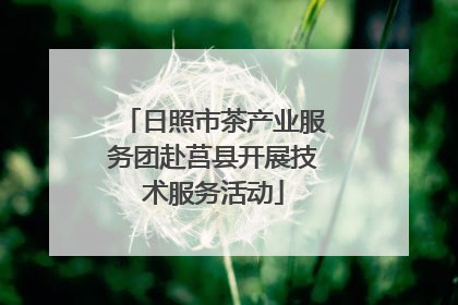 日照市茶产业服务团赴莒县开展技术服务活动