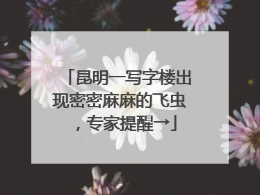 昆明一写字楼出现密密麻麻的飞虫，专家提醒→