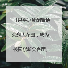 昌平这处闲置地变身大花园，成为校园崭新会客厅