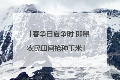 春争日夏争时 即墨农民田间抢种玉米