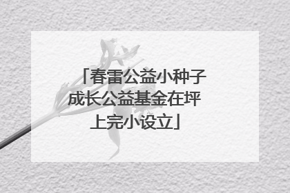 春雷公益小种子成长公益基金在坪上完小设立