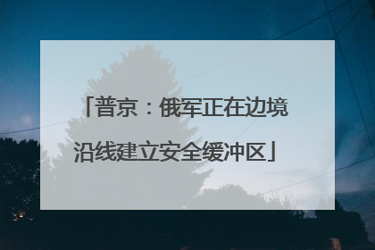 普京：俄军正在边境沿线建立安全缓冲区