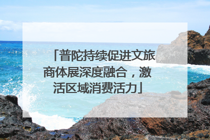 普陀持续促进文旅商体展深度融合，激活区域消费活力