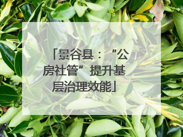 景谷县：“公房社管”提升基层治理效能