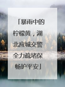 暴雨中的柠檬黄，湖北应城交警全力疏堵保畅护平安