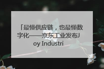 最懂供应链，也最懂数字化——京东工业发布Joy Industrial 重塑工业未来