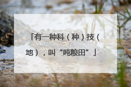有一种科（种）技（地），叫“吨粮田”