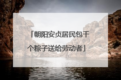 朝阳安贞居民包千个粽子送给劳动者