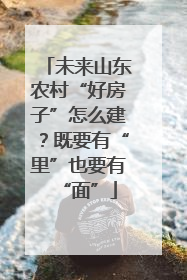 未来山东农村“好房子”怎么建？既要有“里”也要有“面”