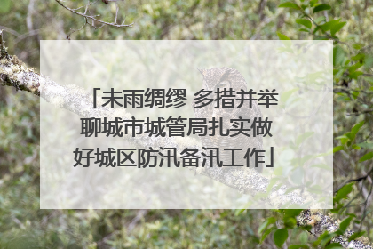未雨绸缪 多措并举 聊城市城管局扎实做好城区防汛备汛工作