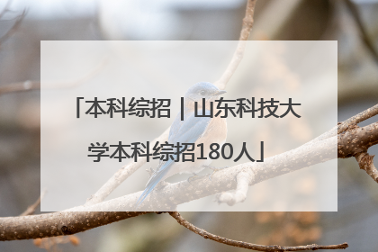 本科综招｜山东科技大学本科综招180人