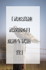 武松高速武汉段6月底通车试运营