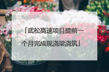 武松高速项目提前一个月完成现浇梁浇筑