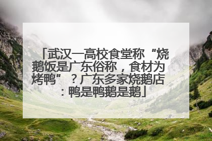 武汉一高校食堂称“烧鹅饭是广东俗称，食材为烤鸭”？广东多家烧鹅店：鸭是鸭鹅是鹅