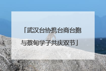武汉台协携台商台胞与蔡甸学子共庆双节