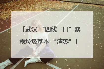 武汉 “四线一口”暴露垃圾基本 “清零”