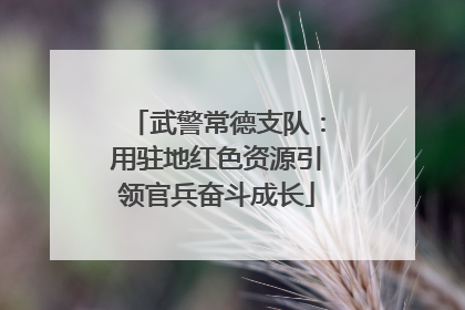 武警常德支队：用驻地红色资源引领官兵奋斗成长