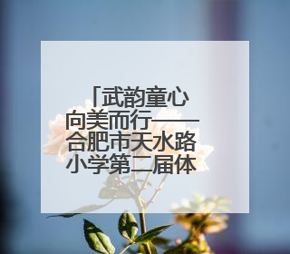 武韵童心 向美而行——合肥市天水路小学第二届体育节暨武术比赛盛大开幕