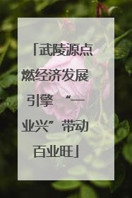 武陵源点燃经济发展引擎 “一业兴”带动百业旺