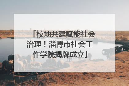 校地共建赋能社会治理！淄博市社会工作学院揭牌成立