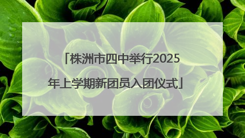 株洲市四中举行2025年上学期新团员入团仪式