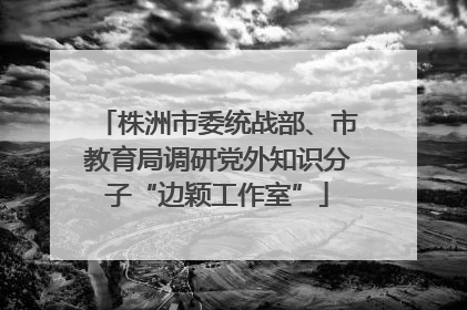株洲市委统战部、市教育局调研党外知识分子“边颖工作室”