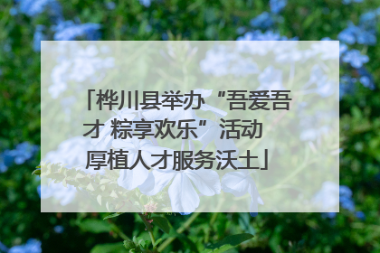 桦川县举办“吾爱吾才 粽享欢乐”活动 厚植人才服务沃土