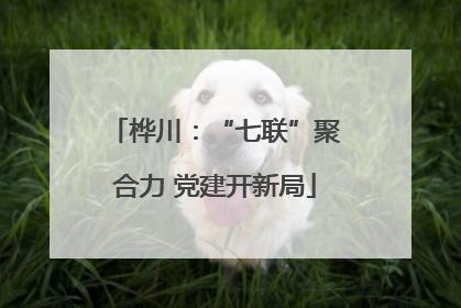 桦川：“七联”聚合力 党建开新局