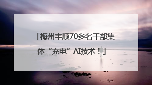 梅州丰顺70多名干部集体“充电”AI技术！