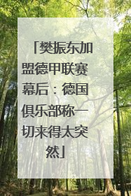 樊振东加盟德甲联赛幕后：德国俱乐部称一切来得太突然
