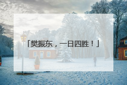 樊振东，一日四胜！
