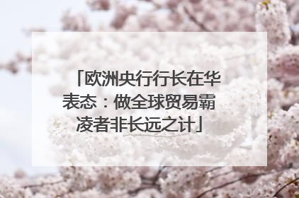 欧洲央行行长在华表态：做全球贸易霸凌者非长远之计
