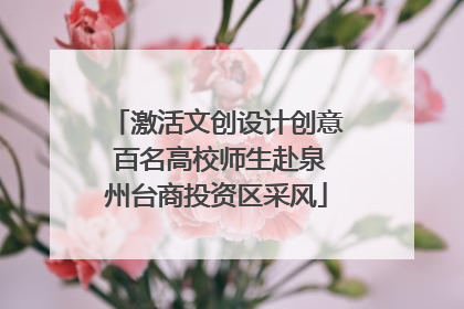 激活文创设计创意 百名高校师生赴泉州台商投资区采风