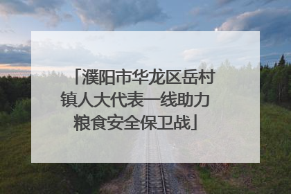 濮阳市华龙区岳村镇人大代表一线助力粮食安全保卫战