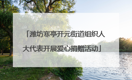 潍坊寒亭开元街道组织人大代表开展爱心捐赠活动