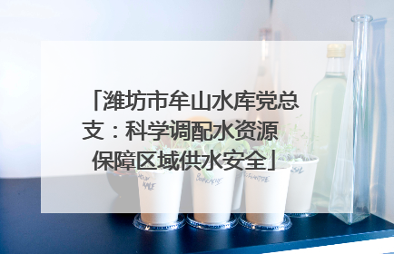 潍坊市牟山水库党总支：科学调配水资源 保障区域供水安全