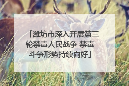 潍坊市深入开展第三轮禁毒人民战争 禁毒斗争形势持续向好