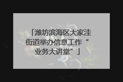 潍坊滨海区大家洼街道举办信息工作“业务大讲堂”