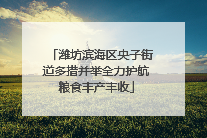 潍坊滨海区央子街道多措并举全力护航粮食丰产丰收