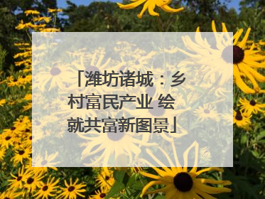 潍坊诸城：乡村富民产业 绘就共富新图景